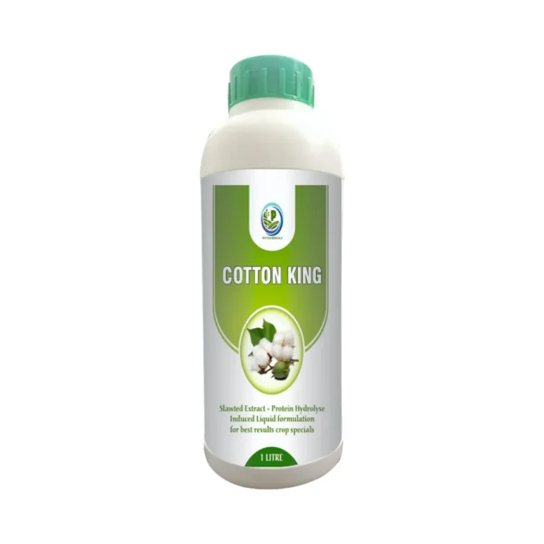 Cotton King