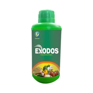 Exodos