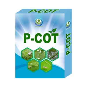P-COT